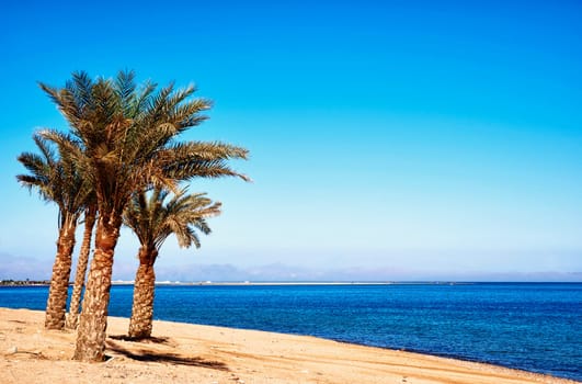 Lagoona Beach Dahab