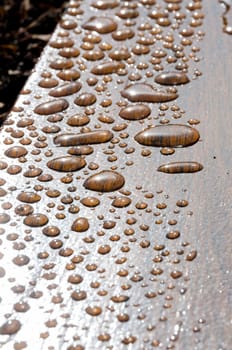 drops on a bench on the pier 39 in San Francisco , California