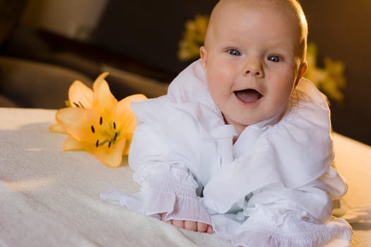 the little angel