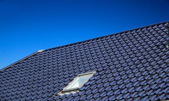 The Blue Roof with Window