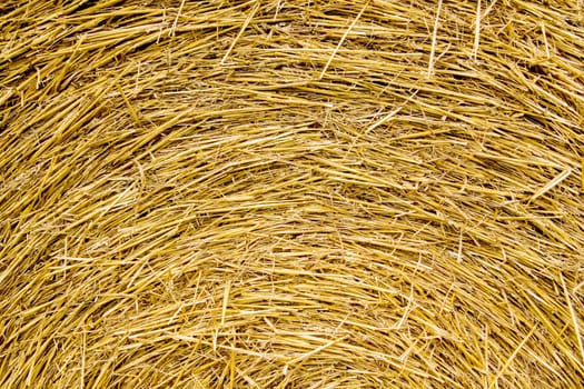 Straw bale background round