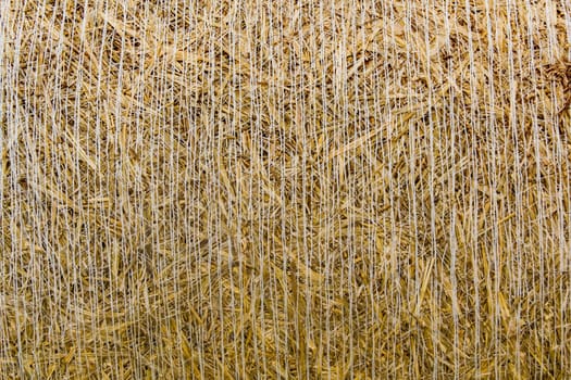 Straw Bale Background Round - Frontal