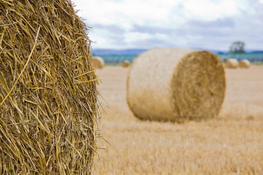 Hay bale bokeh