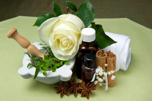 natural products for body care on colored background