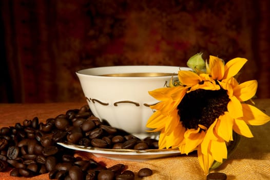 cup with coffee beans and sunflowers on a colored background