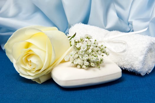 natural products for body care on colored background