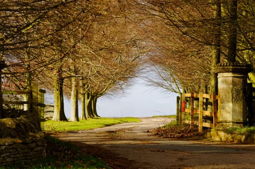Park entry gate in winter, England, UK