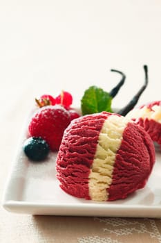 Ball of fresh healthy red berry ice-cream with a distinctive vanilla stripe on a white porcelain platter