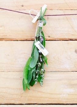 Bunch of fresh sage with a name tag suspended from a wooden clothespeg against rustic planks