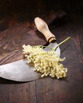 Elder flowers, round knife and cutting board on brown table
