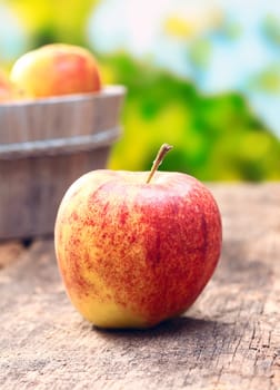 Delicious red and green apple outdoors in front of an apple tree meadow. On an aged old wooden background. For organic food concepts