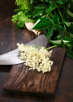 Fresh elder and round knife on cutting board