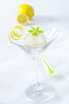 Appetizer of tangy refreshing lemon sorbet served in a stylish martini cocktail glass