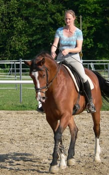 horse riding young woman in a parcours at summer time