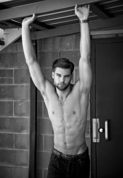 Outdoor photo of shirtless, attractive young man looking at camera.