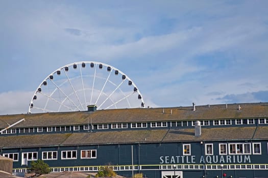 Seattle Aquarium &amp Ferris Wheel