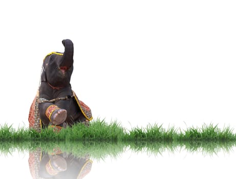 elephant isolated
