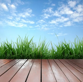 wooden terrace