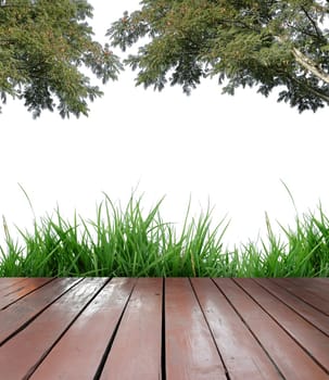wooden terrace and white background