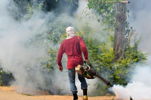 man Fogging to prevent spread of dengue fever in thailand