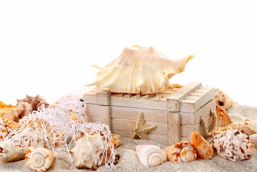 Seashells and treasure chest - concept of holiday, beach and summer