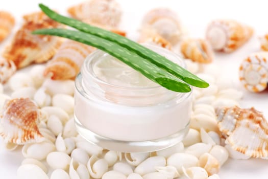 Natural face cream with aloe vera on seashells