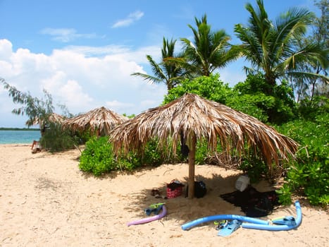 Thatched umbrella on the Low Isles of tropical Queensland, Australia.