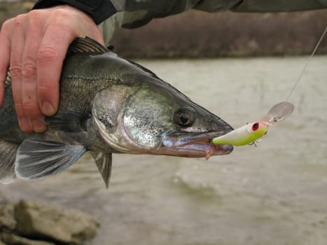 Fishing