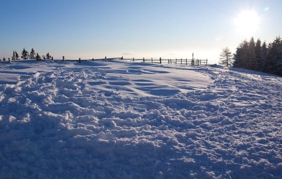 Tracks in the snow