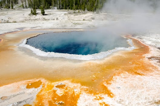 colored Geyser in Yellowstone National Park in Wyoming in the United States of America