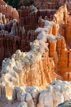 red rocks at Sunrise in Bryce Canyon National Park in Utah in the United States of America