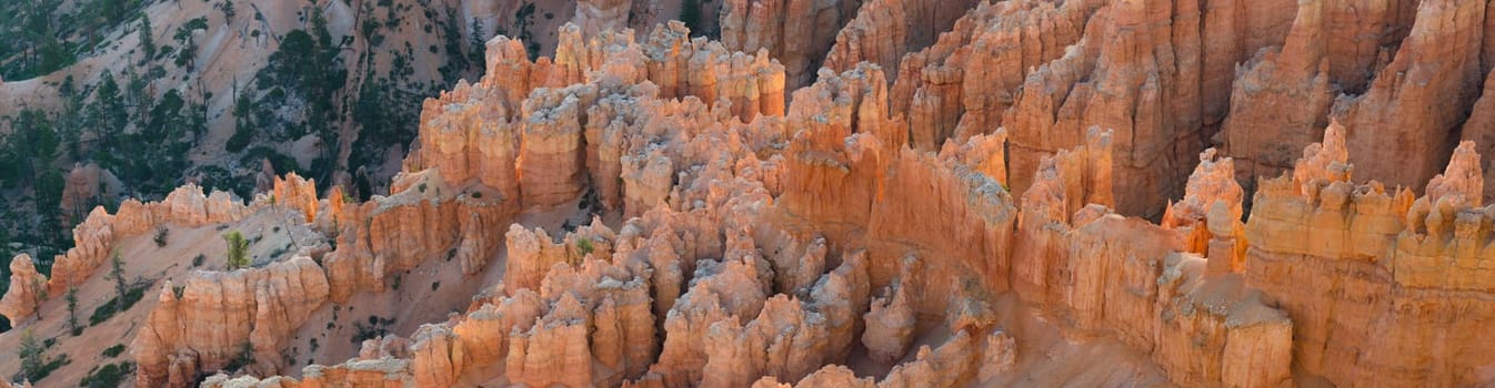 overview at sunrise in Bryce Canyon National Park in Utah in the United States of America