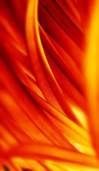 Red Flow Background vertical