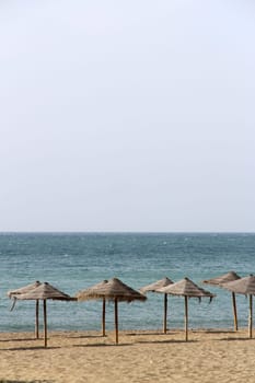Row of umbrellas on the beach