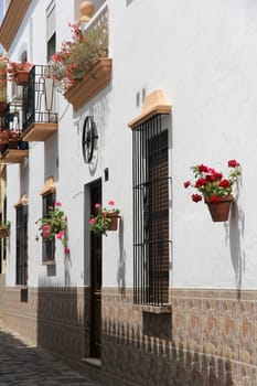 House with flowers