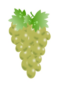 grape