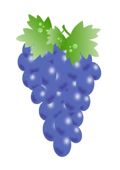 grape