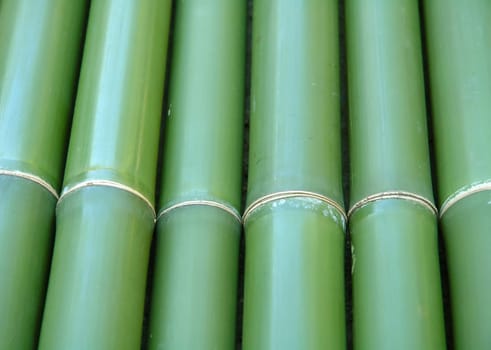 bamboo