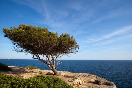 Cala Pi in Majorca