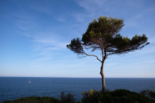 View from the Mallorcan coast