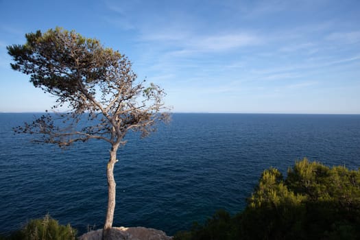 Coast of Mallorca
