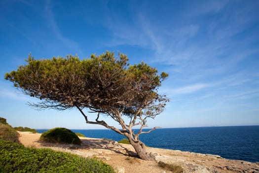 Cala Pi,Majorca