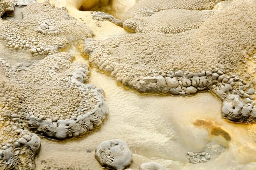 formations of limestone and minerals on the edge of the geysers in Yellowstone National Park in Wyoming in the United States of America