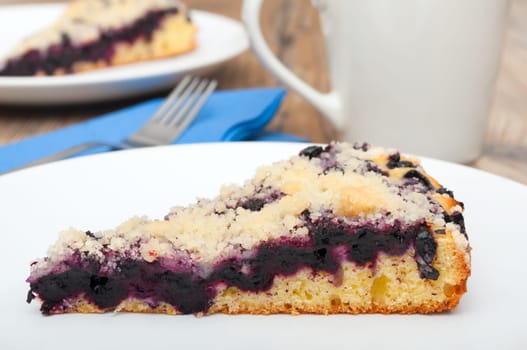 Closeup of Homemade Bilberry Cake - Shallow Depth of Field