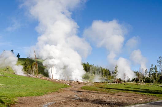 Geyser in Yellowstone National Park in Wyoming in the United States of America
