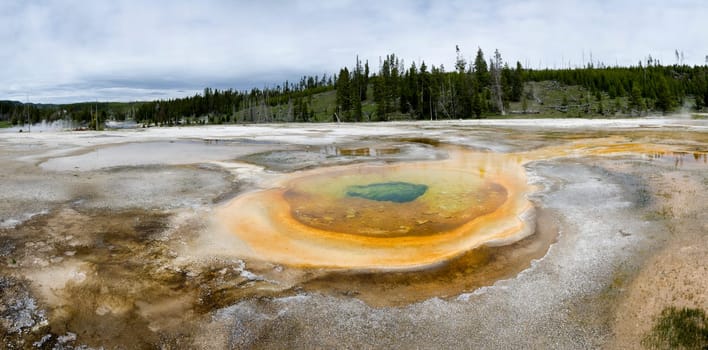 overview of a Geyser in Yellowstone National Park in Wyoming in the United States of America