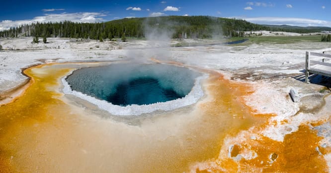 overview of a Geyser in Yellowstone National Park in Wyoming in the United States of America
