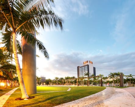 Miami Beach in the Early Morning