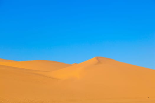 beautiful sand dune in sunrise in the desert