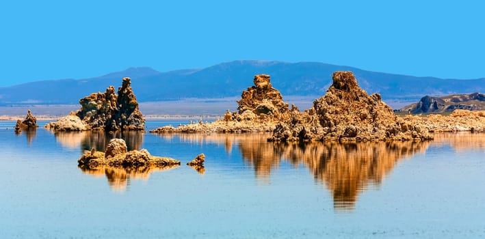 reflection in  the beautiful Mono Lake